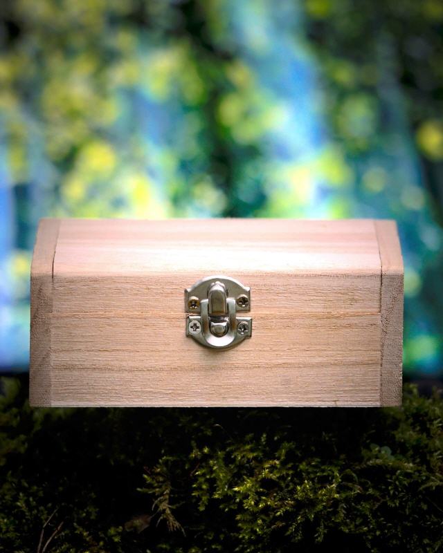 debut record "Treasures & Nightmares"